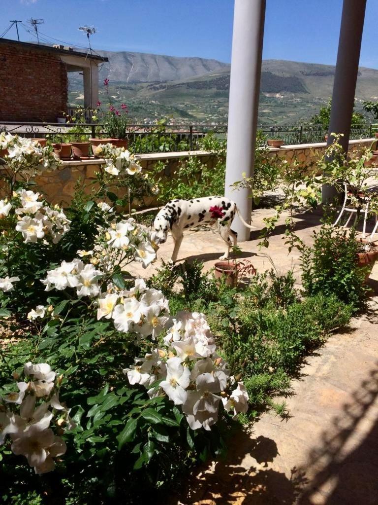 Guesthouse Villa Rosa 베라트 객실 사진