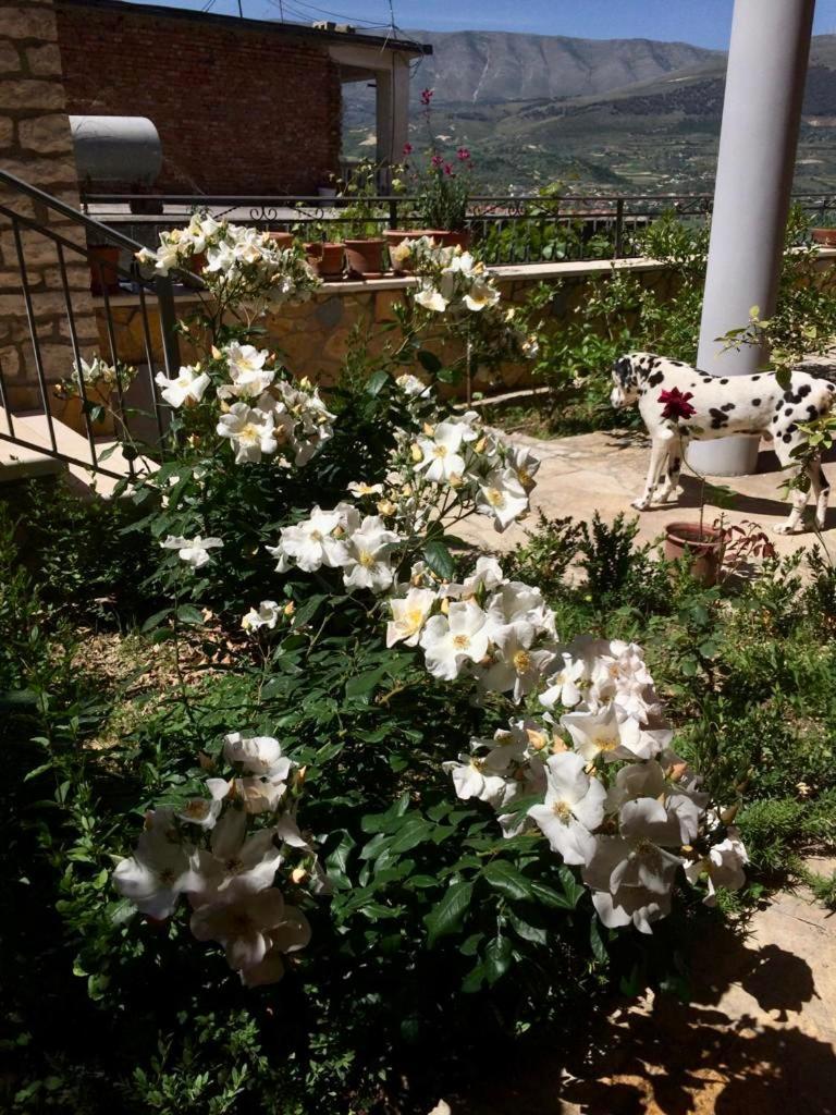Guesthouse Villa Rosa 베라트 객실 사진